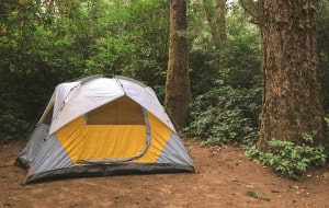 Classic Tent